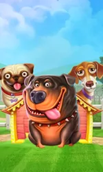 The Dog House